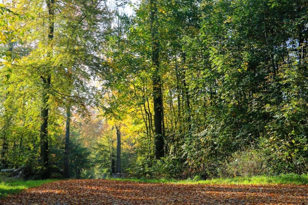 Assendrupgaard Vejle 아파트 외부 사진